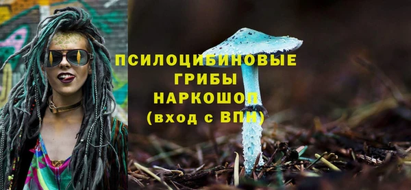кристаллы Дегтярск